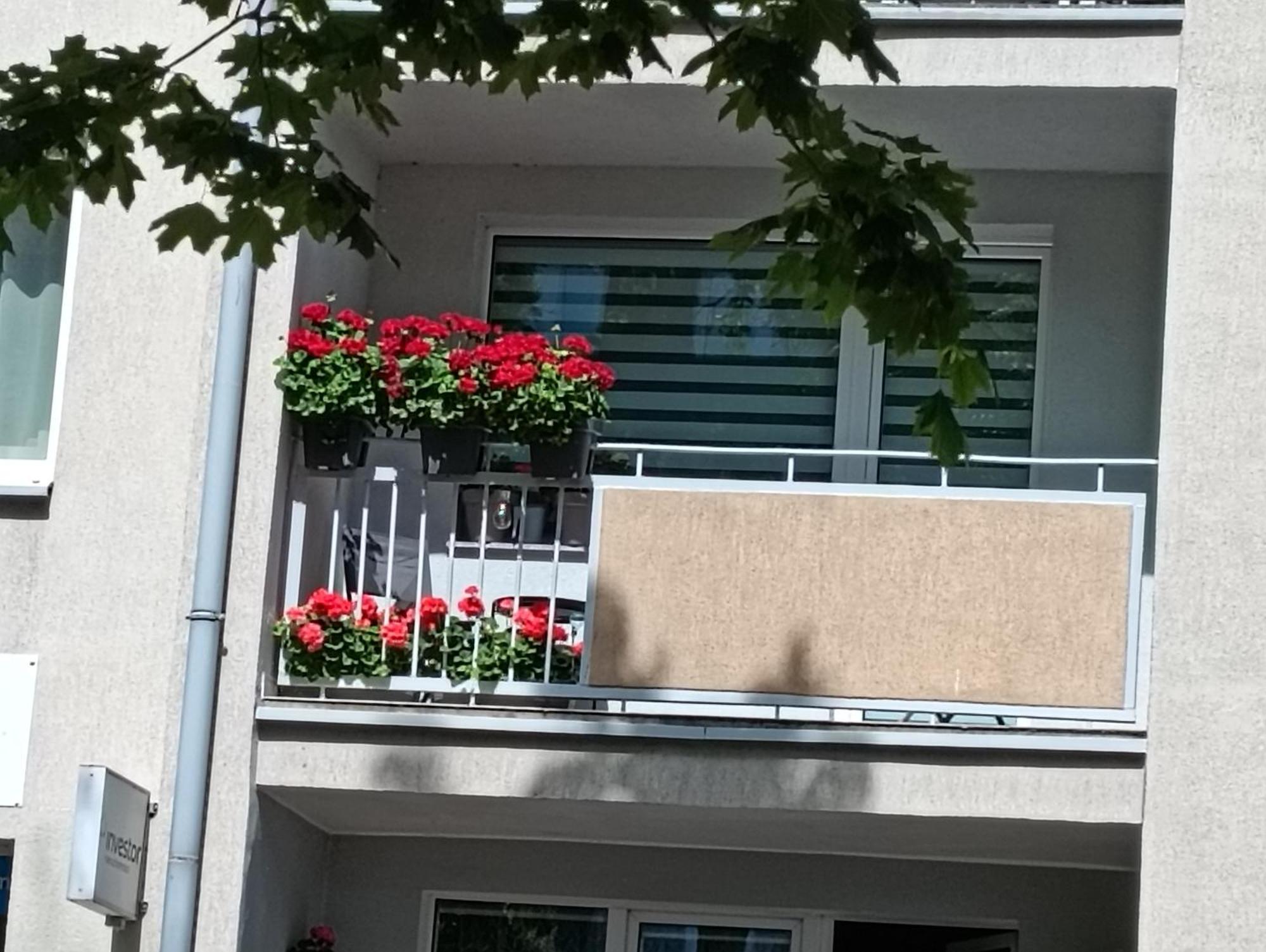 קולובז'ג Apartament Ale Laba מראה חיצוני תמונה