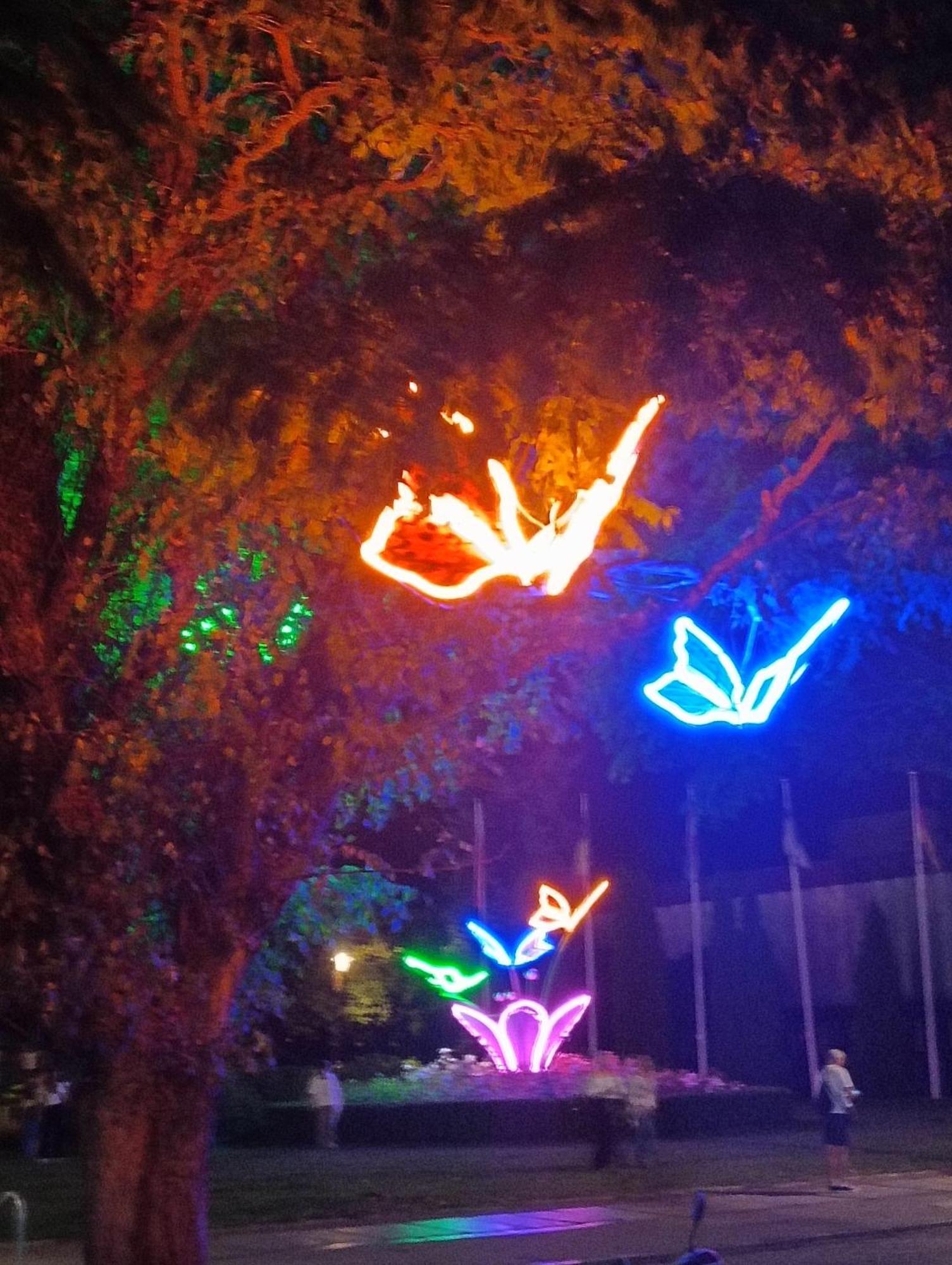 קולובז'ג Apartament Ale Laba מראה חיצוני תמונה